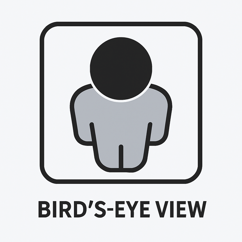 Bird's-Eye View